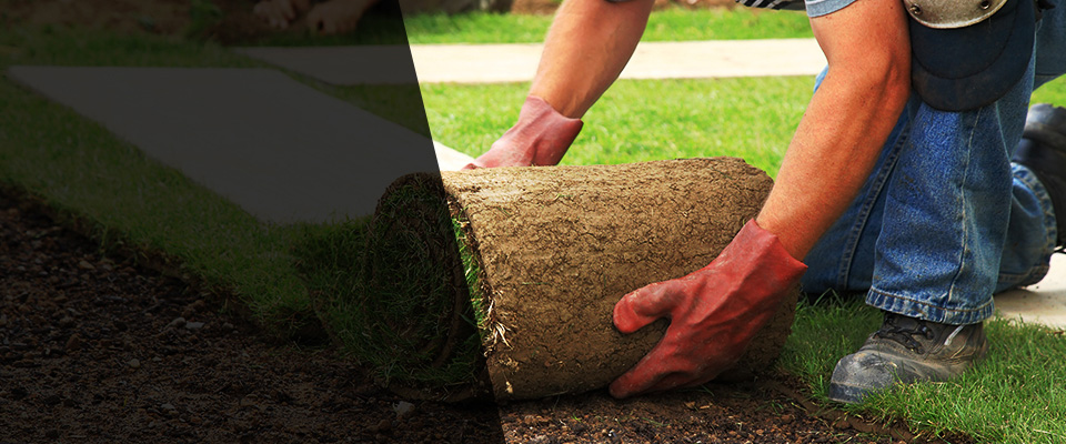 Anchorage Landscapers